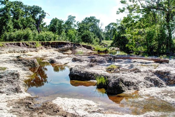 Grimes County Ranch: FM 3090 & CR 306, Anderson, TX 77830